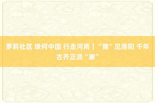 萝莉社区 缘何中国 行走河南｜“豫”见洛阳 千年古齐正派“潮”
