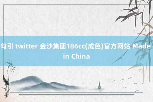 勾引 twitter 金沙集团186cc(成色)官方网站 Made in China
