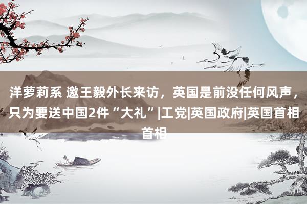 洋萝莉系 邀王毅外长来访，英国是前没任何风声，只为要送中国2件“大礼”|工党|英国政府|英国首相