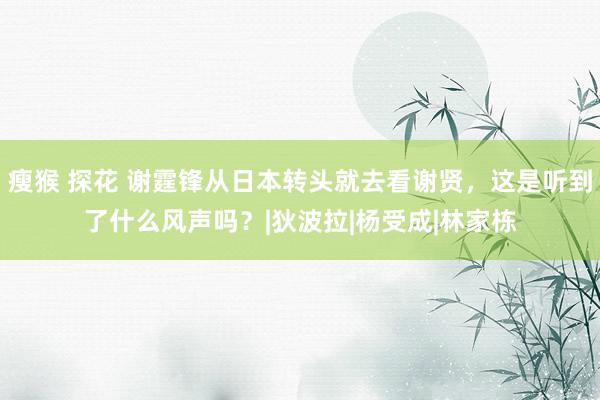 瘦猴 探花 谢霆锋从日本转头就去看谢贤，这是听到了什么风声吗？|狄波拉|杨受成|林家栋