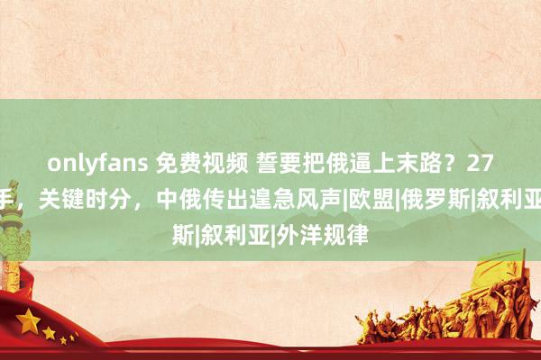 onlyfans 免费视频 誓要把俄逼上末路？27国霎时入手，关键时分，中俄传出遑急风声|欧盟|俄罗斯|叙利亚|外洋规律