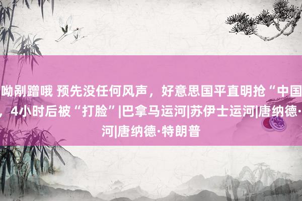 呦剐蹭哦 预先没任何风声，好意思国平直明抢“中国运河”，4小时后被“打脸”|巴拿马运河|苏伊士运河|唐纳德·特朗普