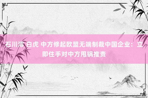 石川澪 白虎 中方修起欧盟无端制裁中国企业：立即住手对中方甩锅推责