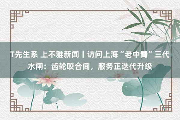 T先生系 上不雅新闻丨访问上海“老中青”三代水闸：齿轮咬合间，服务正迭代升级