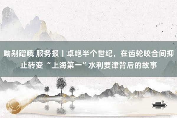 呦剐蹭哦 服务报丨卓绝半个世纪，在齿轮咬合间抑止转变 “上海第一”水利要津背后的故事