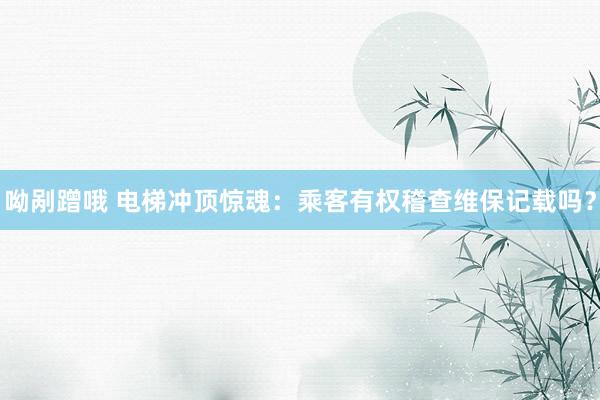 呦剐蹭哦 电梯冲顶惊魂：乘客有权稽查维保记载吗？