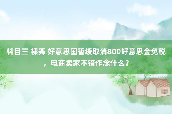 科目三 裸舞 好意思国暂缓取消800好意思金免税，电商卖家不错作念什么？