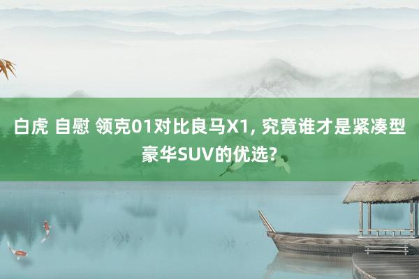 白虎 自慰 领克01对比良马X1， 究竟谁才是紧凑型豪华SUV的优选?
