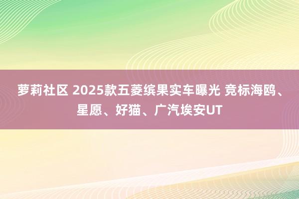 萝莉社区 2025款五菱缤果实车曝光 竞标海鸥、星愿、好猫、广汽埃安UT