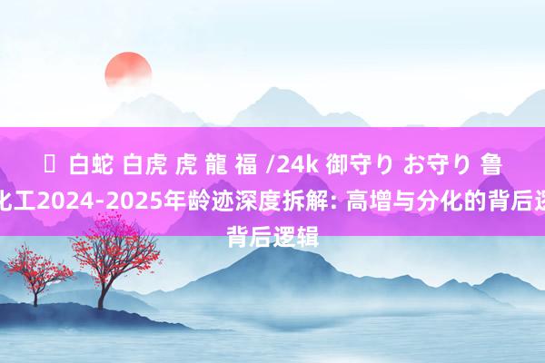 ✨白蛇 白虎 虎 龍 福 /24k 御守り お守り 鲁洋化工2024-2025年龄迹深度拆解: 高增与分化的背后逻辑