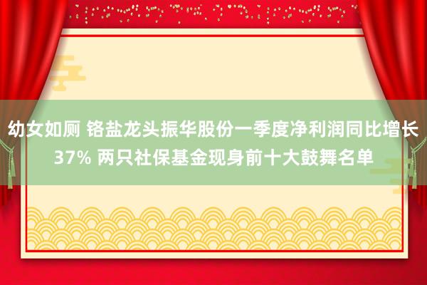 幼女如厕 铬盐龙头振华股份一季度净利润同比增长37% 两只社保基金现身前十大鼓舞名单