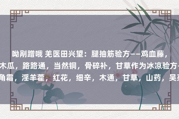 呦剐蹭哦 羌医田兴望:腿抽筋验方——鸡血藤,白芍,丹参,伸筋草,木瓜,路路通,当然铜,骨碎补,甘草作为冰凉验方——制附片,鹿角霜,淫羊藿,红花,细辛,木通,甘草,山药,吴茱萸,桂枝,白芍,当归,丝瓜络口臭...